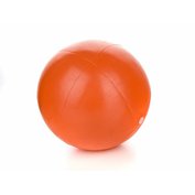 SPORTWELL SW Mini ball 30cm assort