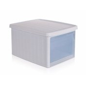 VETRO-PLUS Multifunk. ratan box 15L biely