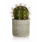 HOME DECOR Kaktus v betónovom kvetináči 9,5 x 16 cm, zelený