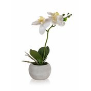 HOME DECOR Orchidea v papierovom kvetináči 32 x 23 cm, biela