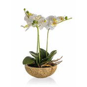 HOME DECOR Orchidea v betónovom kvetináči 30,5 x 17 cm, biela