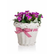 HOME DECOR Kvetina v ratanovom košíku so stuhou 13 x 14 cm, fialová